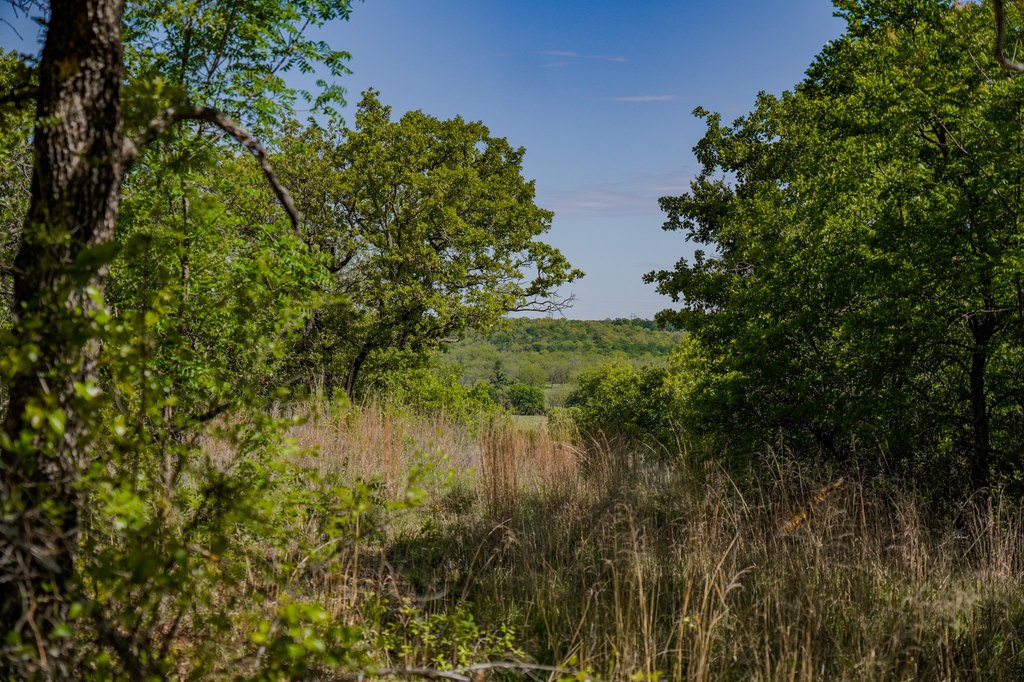 Picture 27