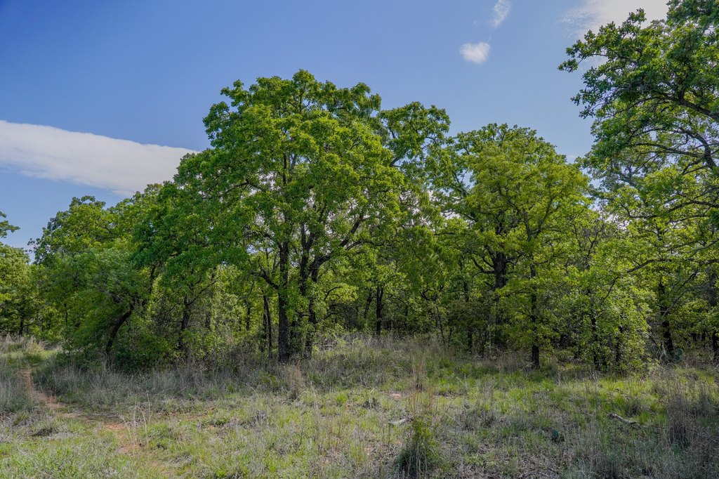 Picture 30