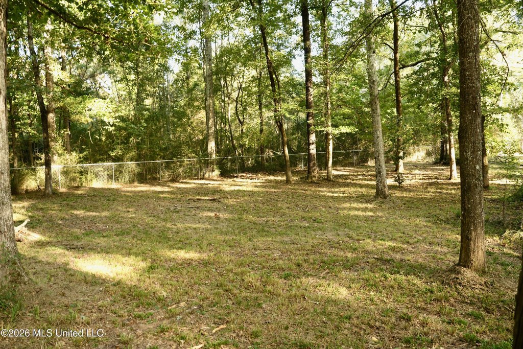 Picture 13