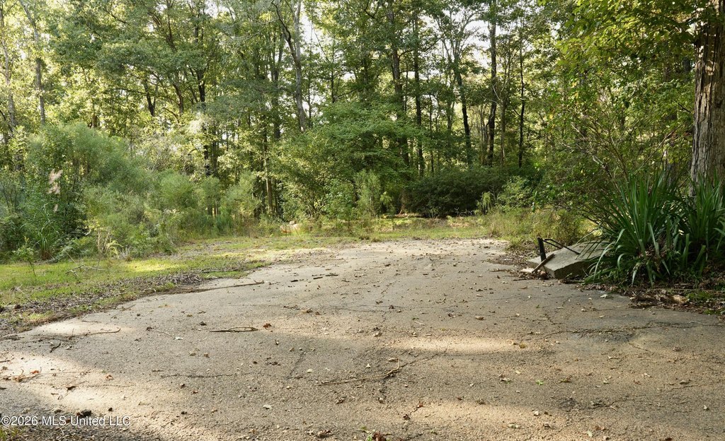 Picture 14