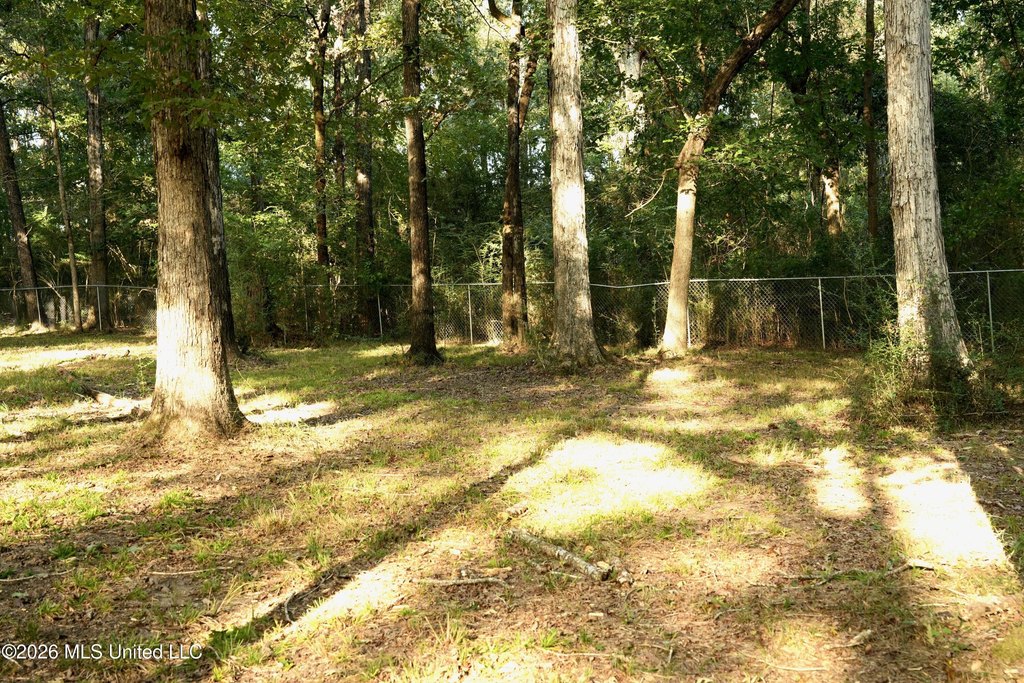 Picture 11