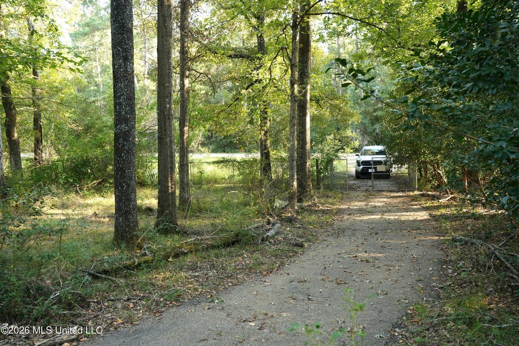 Picture 4
