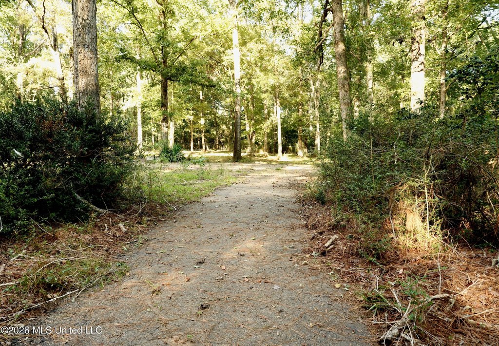 Picture 16