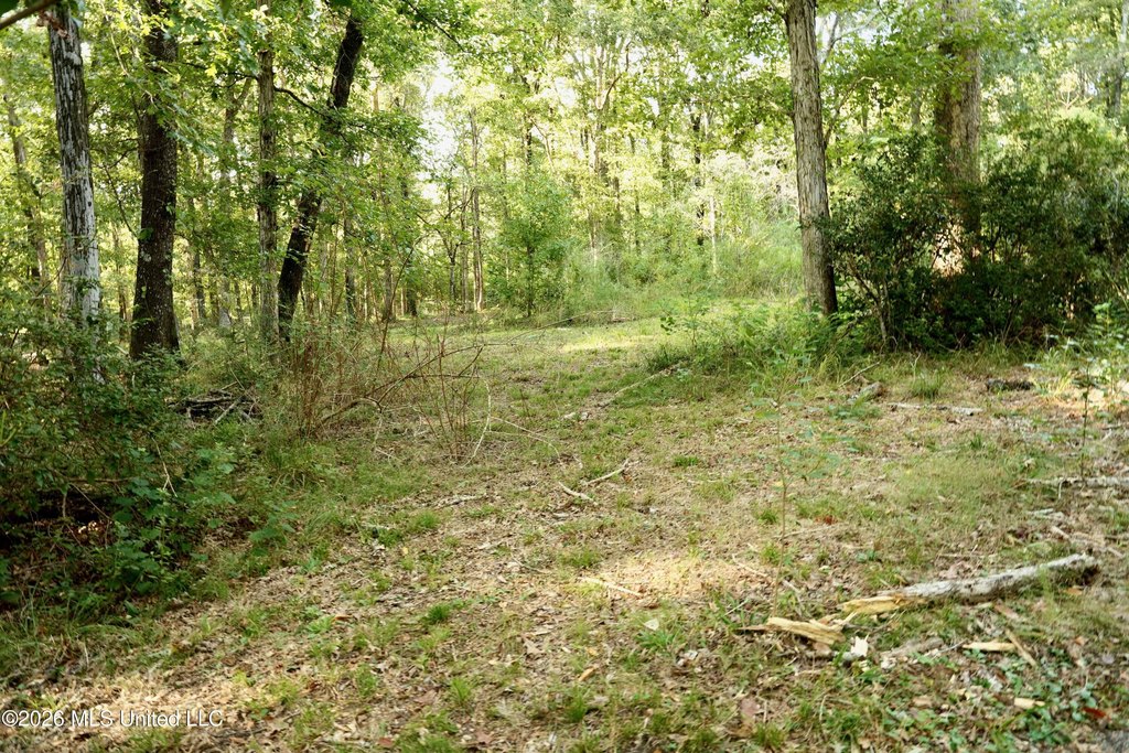Picture 17