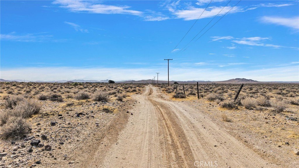 Picture 20