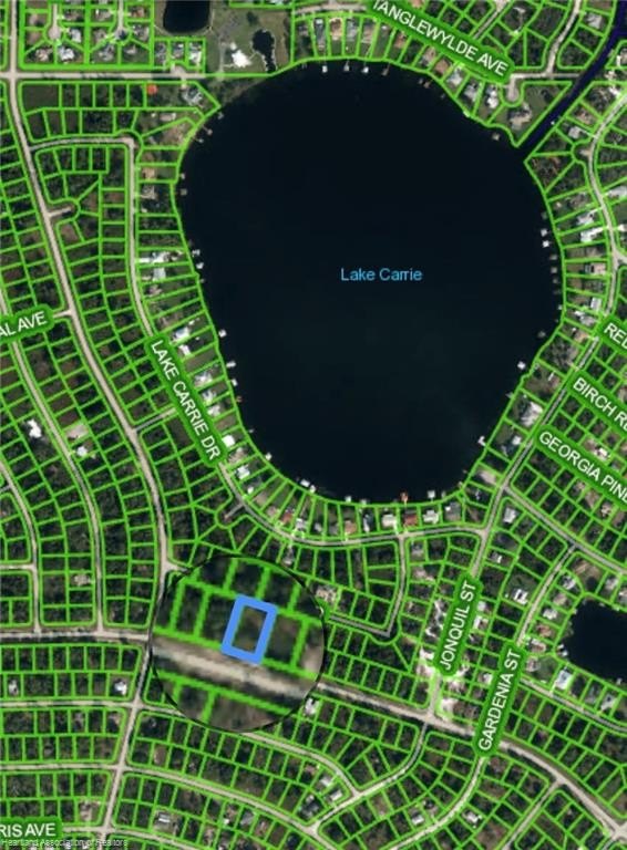 Vacant Lot Near Lake Carrie