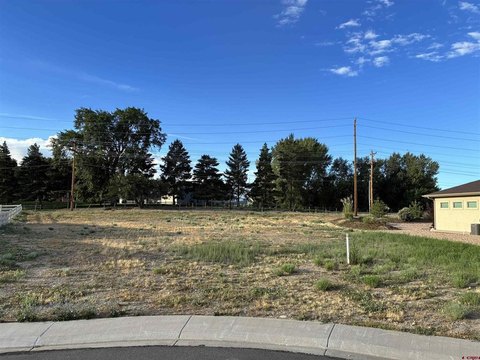LAND, Montrose, CO