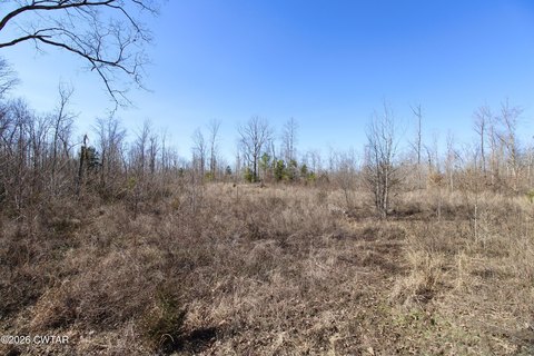 48.9 Acres Wooded Land