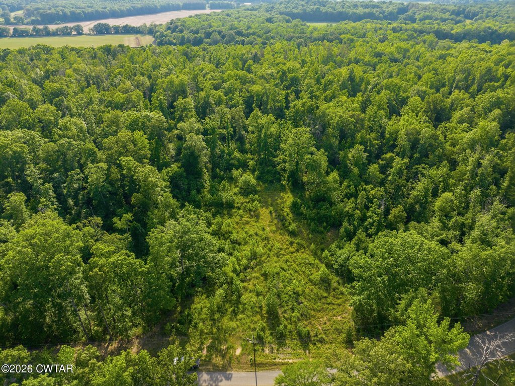 Picture 21