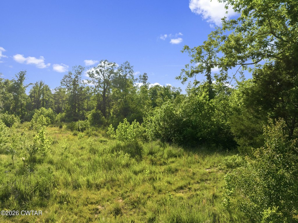 Picture 23
