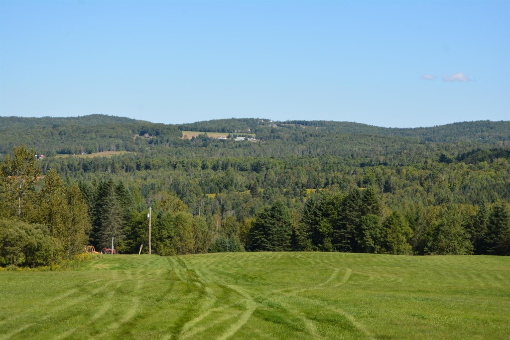 Picture 48
