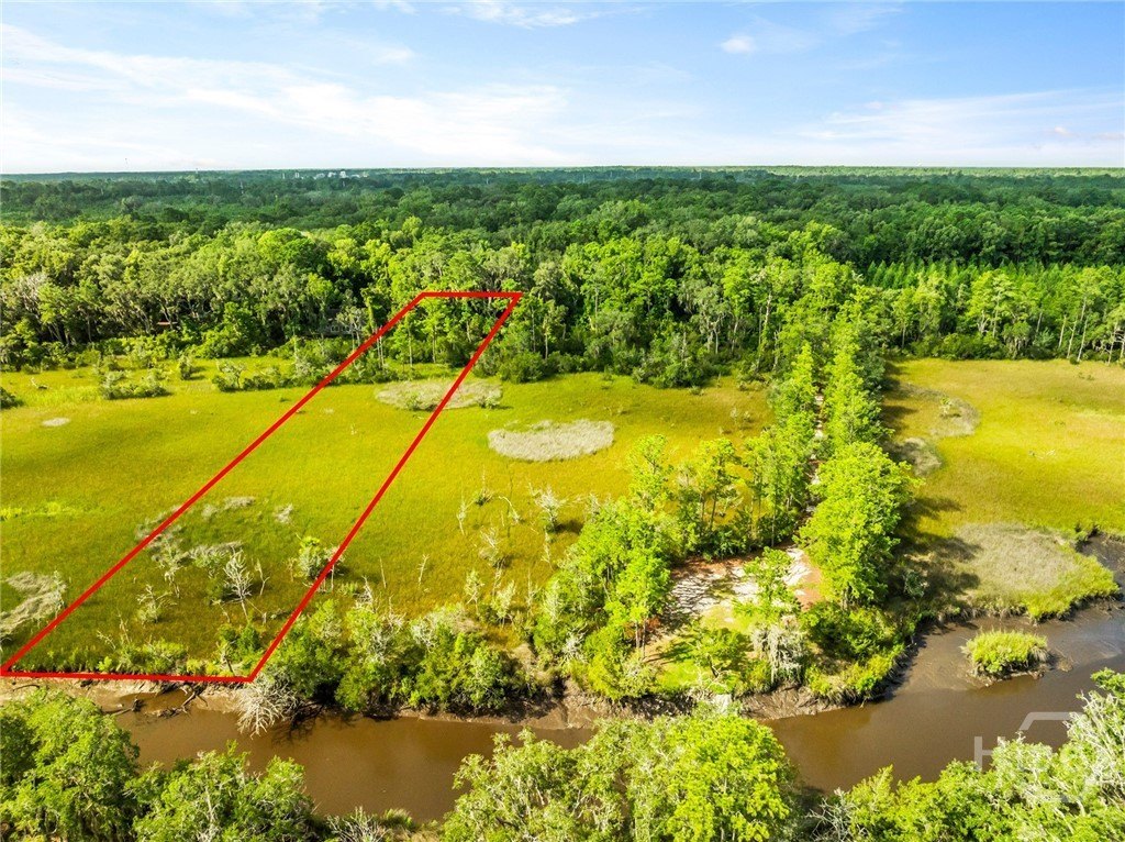 Marsh View Land in Riceboro