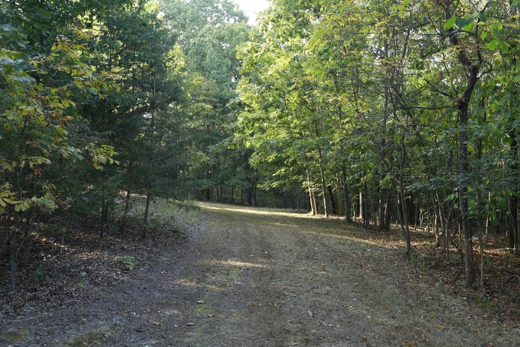 Picture 40