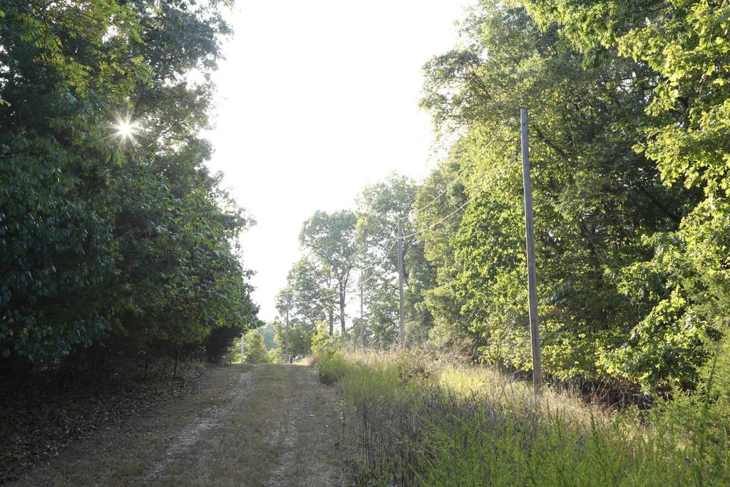 Picture 43