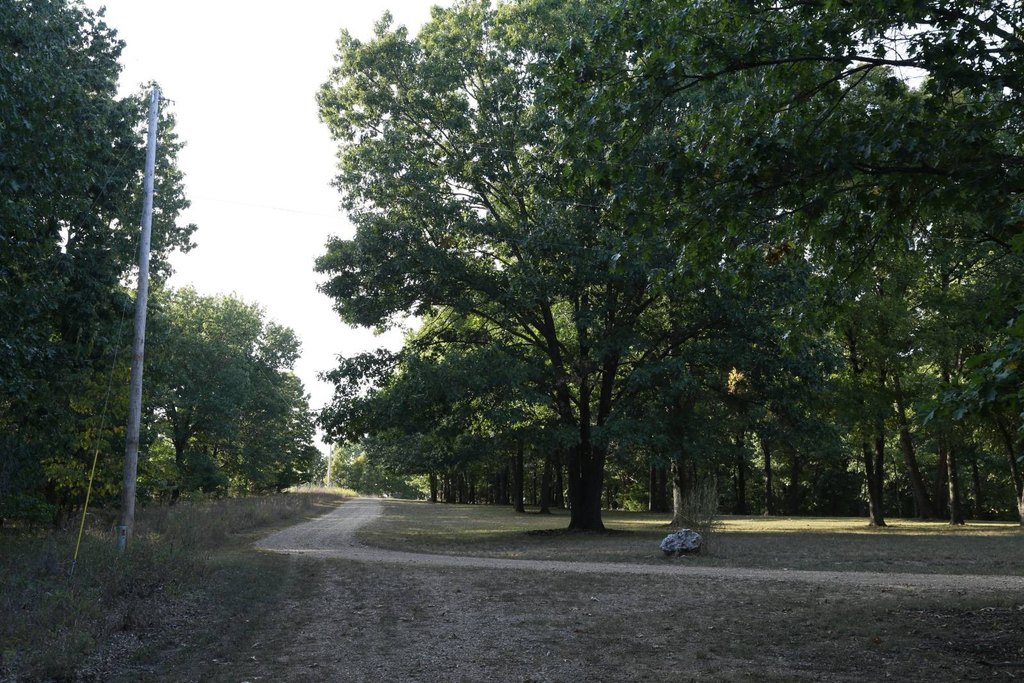 Picture 39