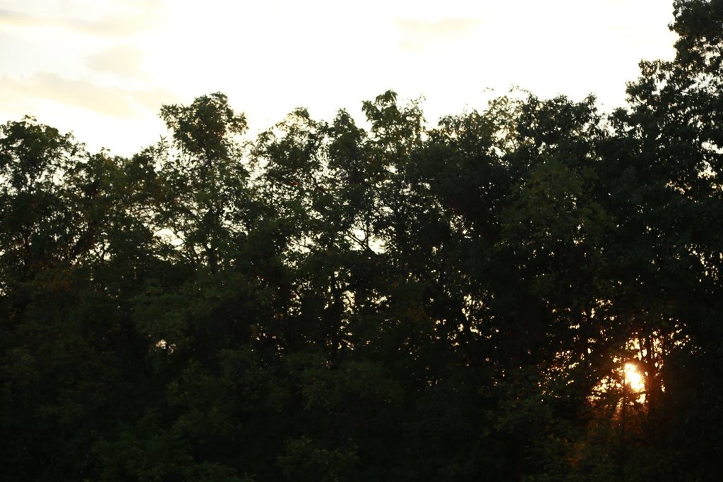 Picture 37