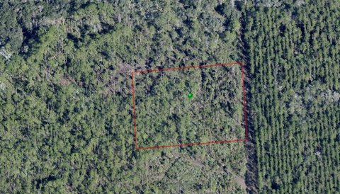 Undeveloped Land in Central Florida