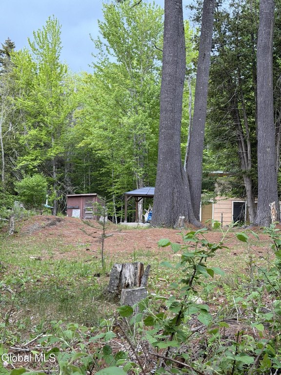 Picture 27