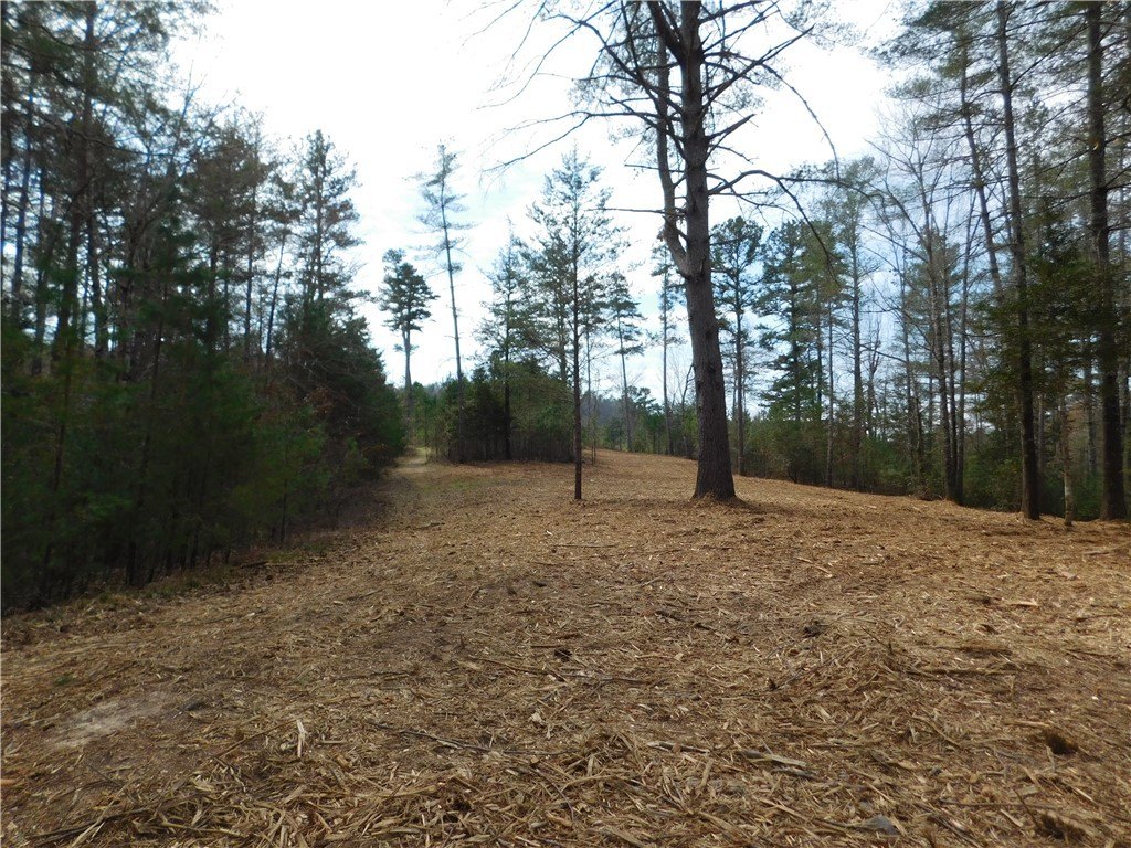 Land Near Equestrian Center
