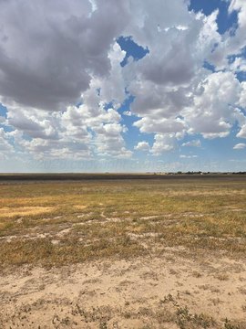 Land -40, Amarillo, TX