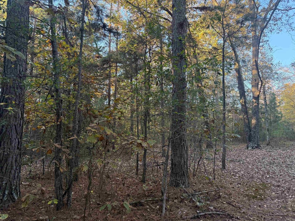 Picture 19