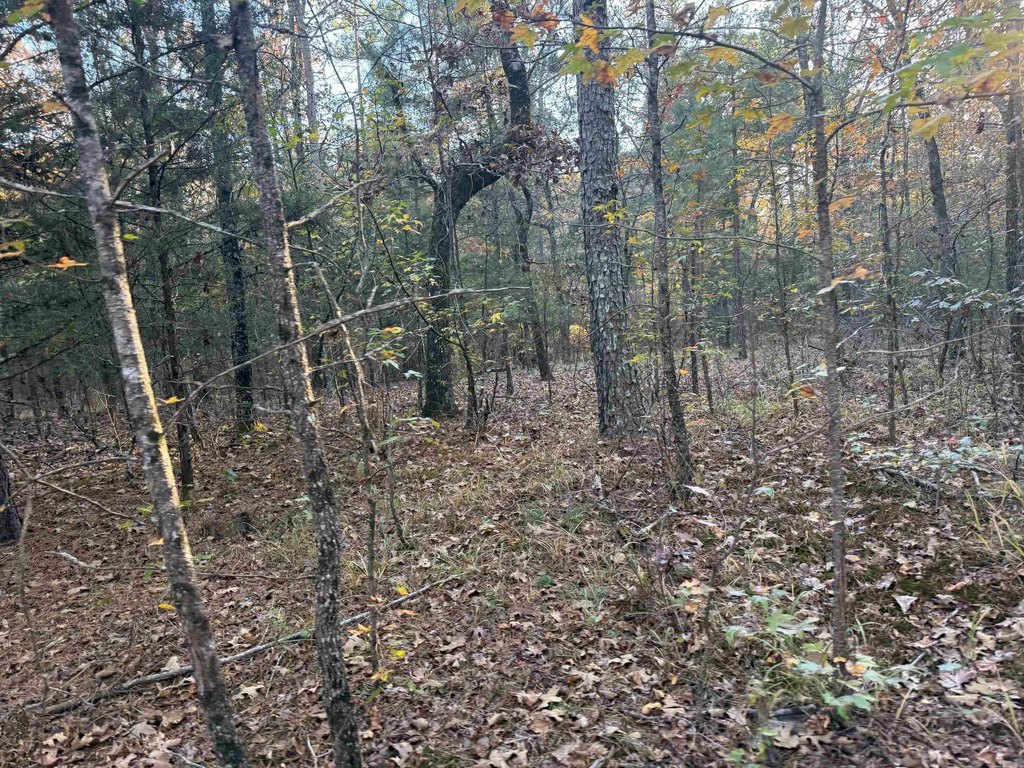 Picture 3