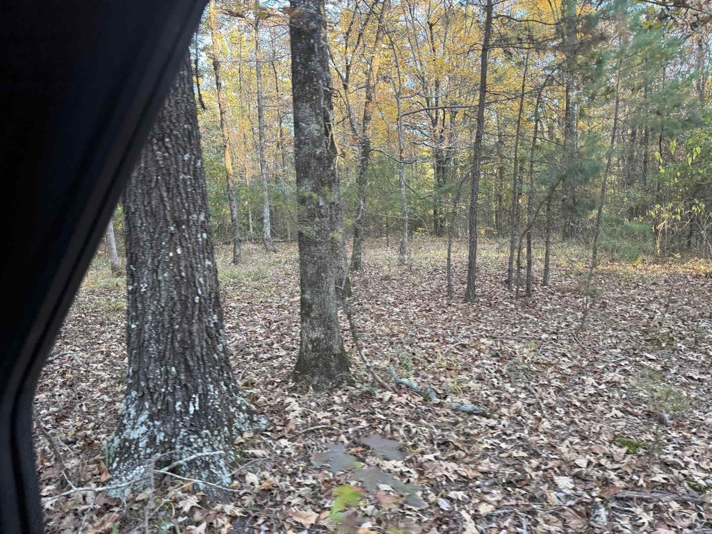 Picture 20