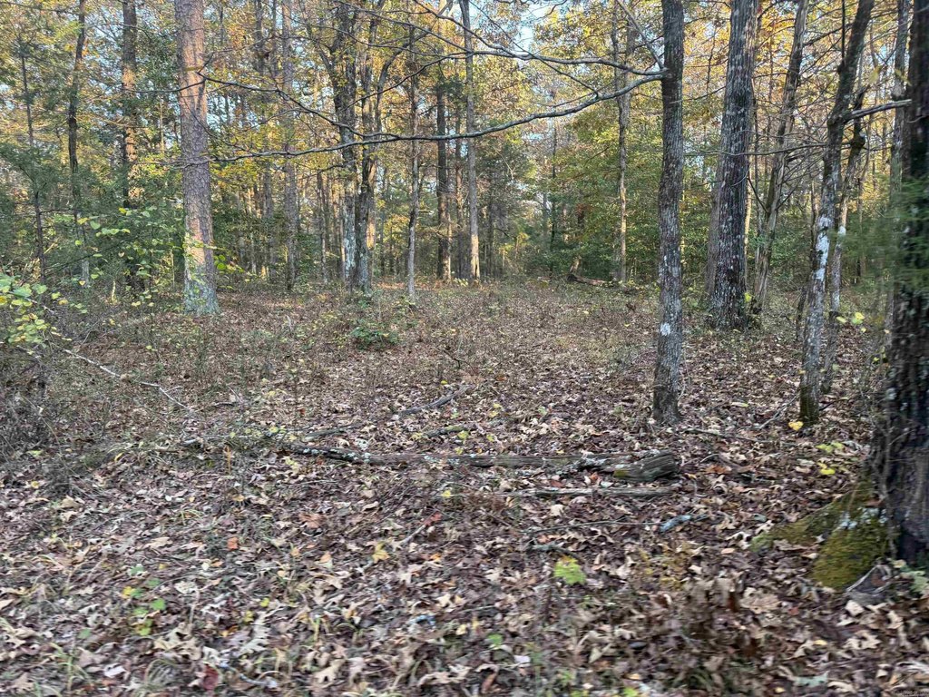 Picture 4