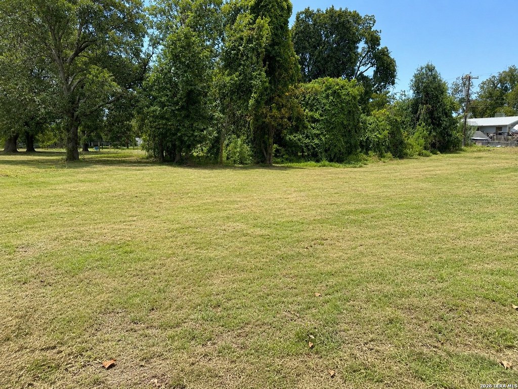 Picture 6
