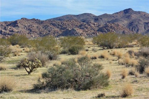 LAND - Joshua Tree, CA