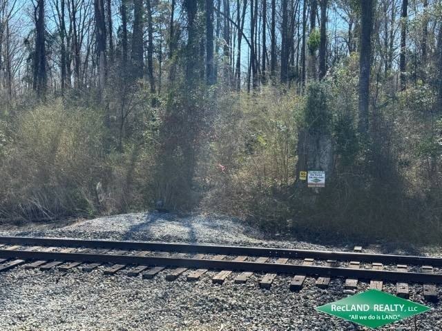 Picture 7