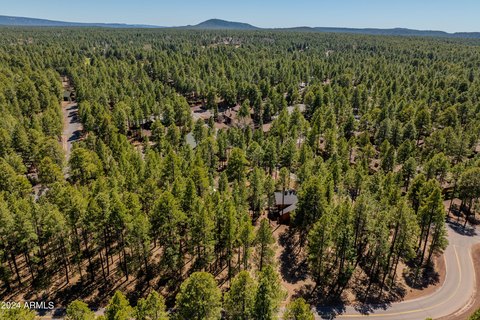 Vacant Land Parcel in Pinetop