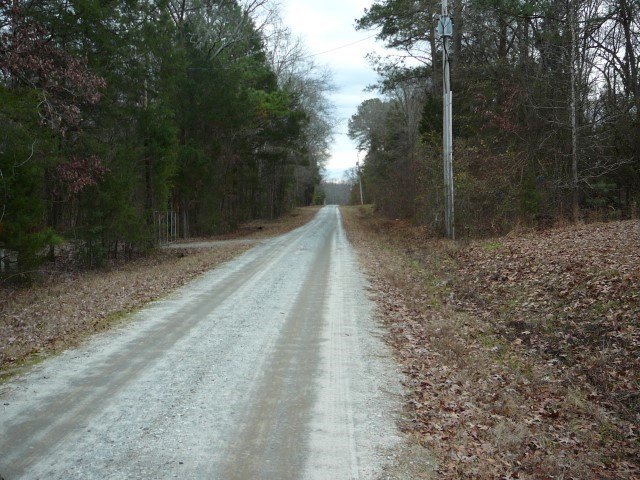 Picture 3