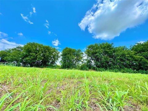 Unimproved Land in Nevada, TX