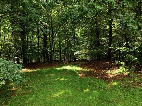 LAND - Canton, GA
