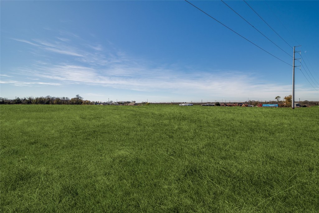 Picture 7