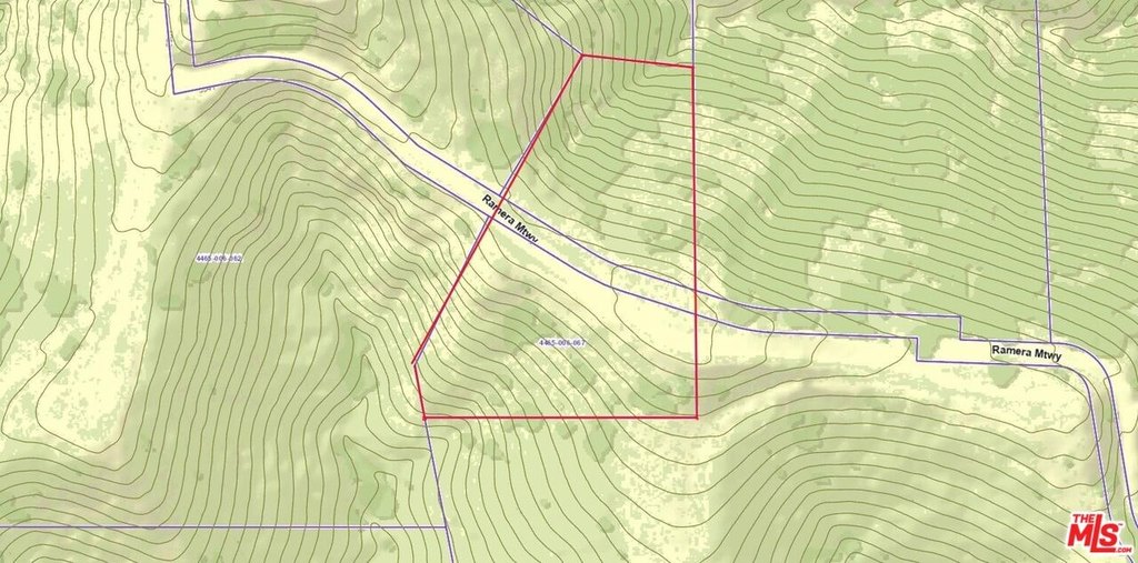 Picture 24