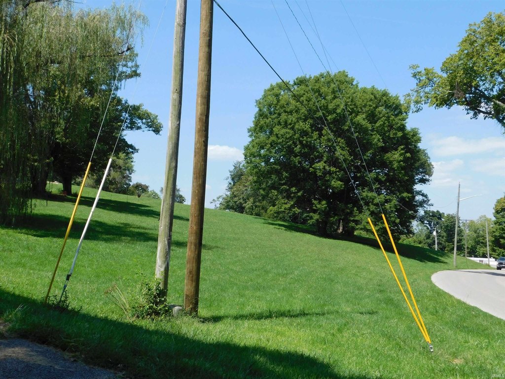 Picture 7