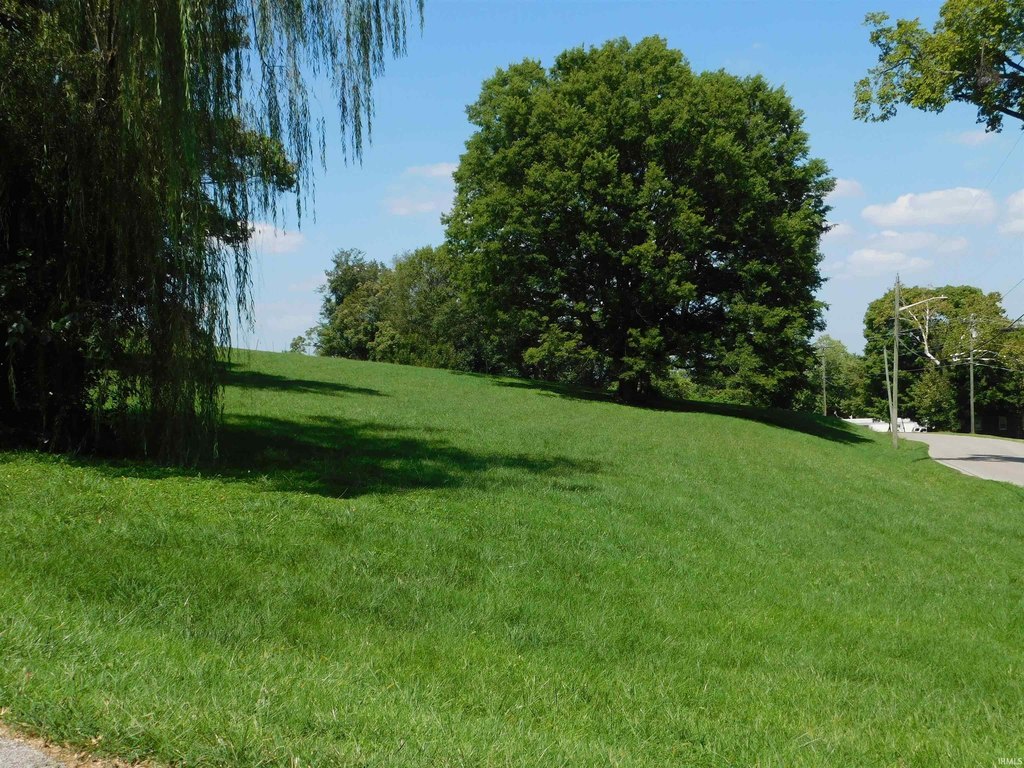 Picture 6