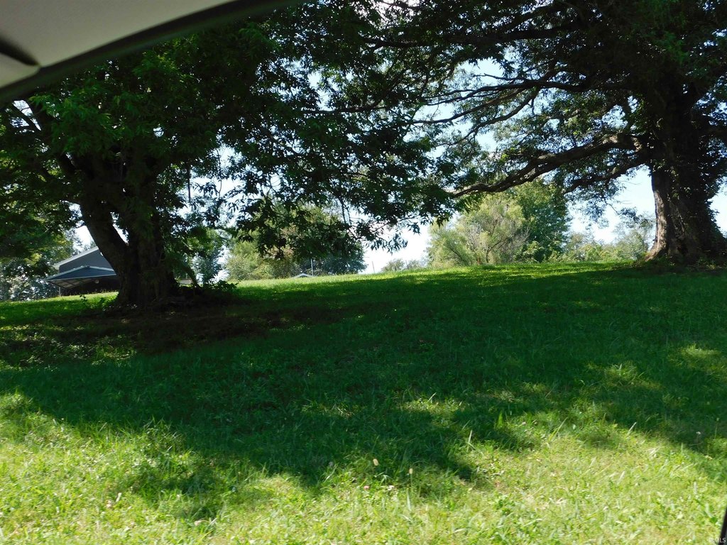 Picture 4