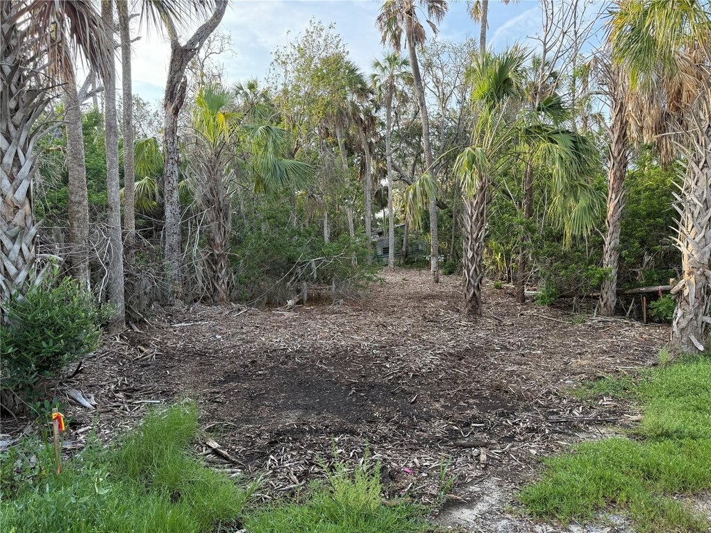 Picture 8