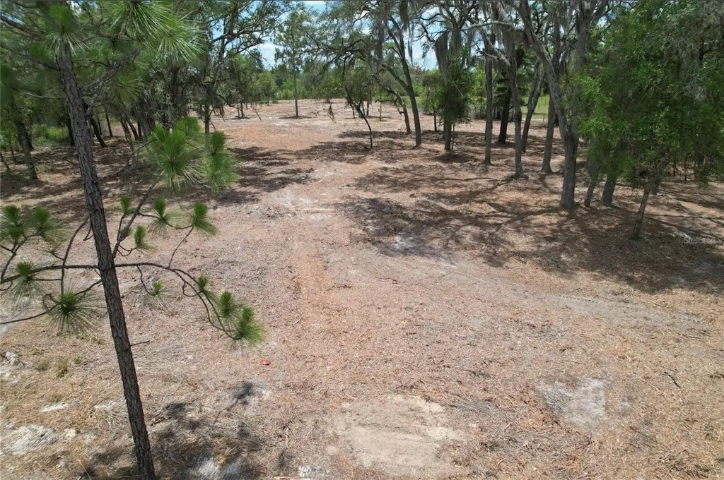 Picture 3