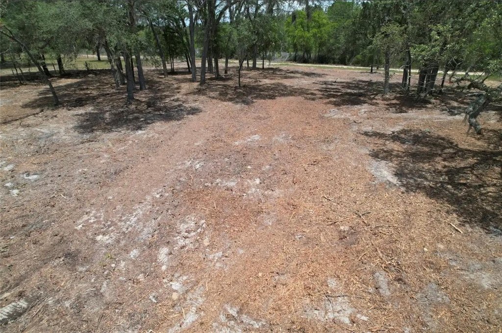 Picture 8