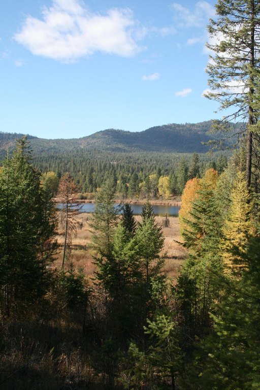 Picture 8