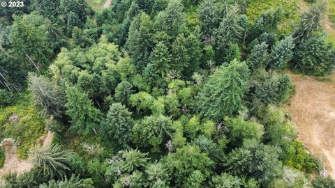 Land, Florence, OR