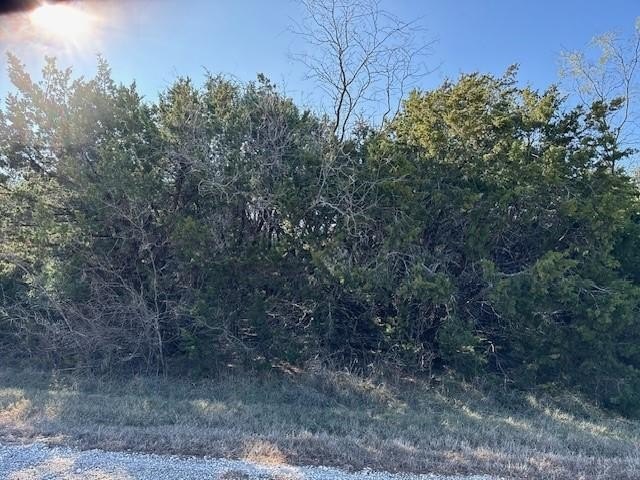 Land in White Bluff Resort