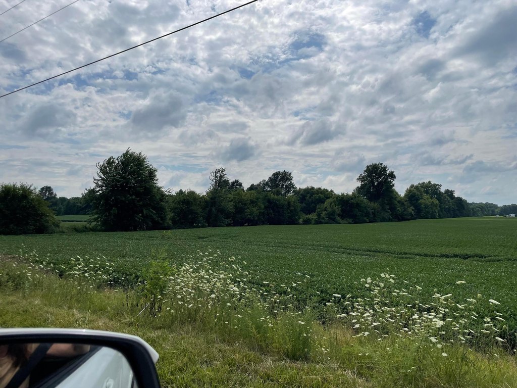 Picture 4
