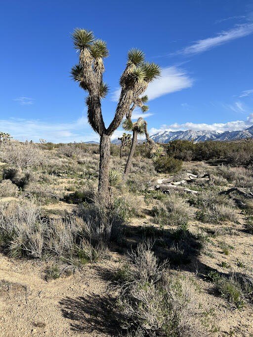 Picture 24