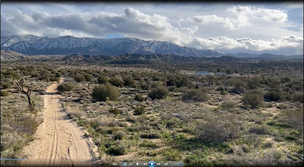Picture 17