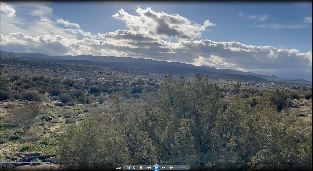Picture 18